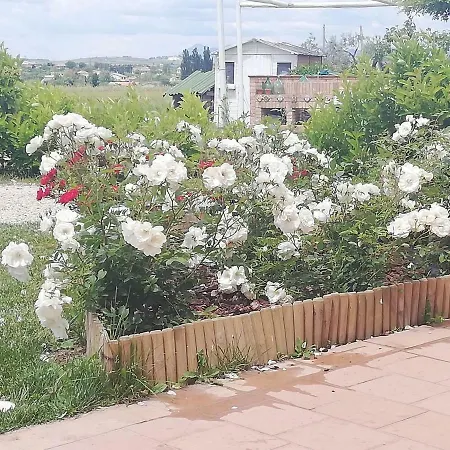 Masseria Fontana Dei Fieri Alloggio per agriturismo *